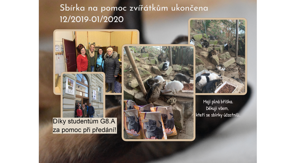 Tlapky a kočičky z Vranovska
