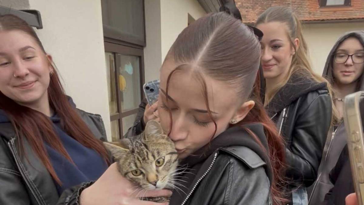 Exkurze třídy P3.A na Břežanský zámek